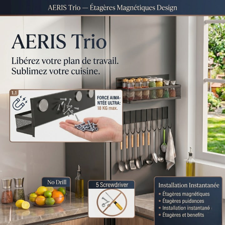Set étagères magnétiques cuisine fixation sans perçage sur frigo noir IronKi avec épices et ustensiles
