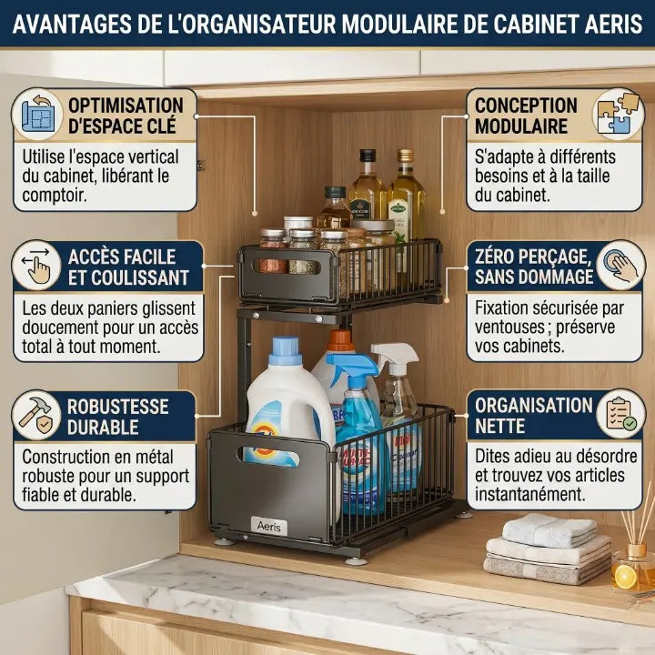 Organiseur sous-évier coulissant 2 niveaux ajustable rangement cuisine placard noir IronKi